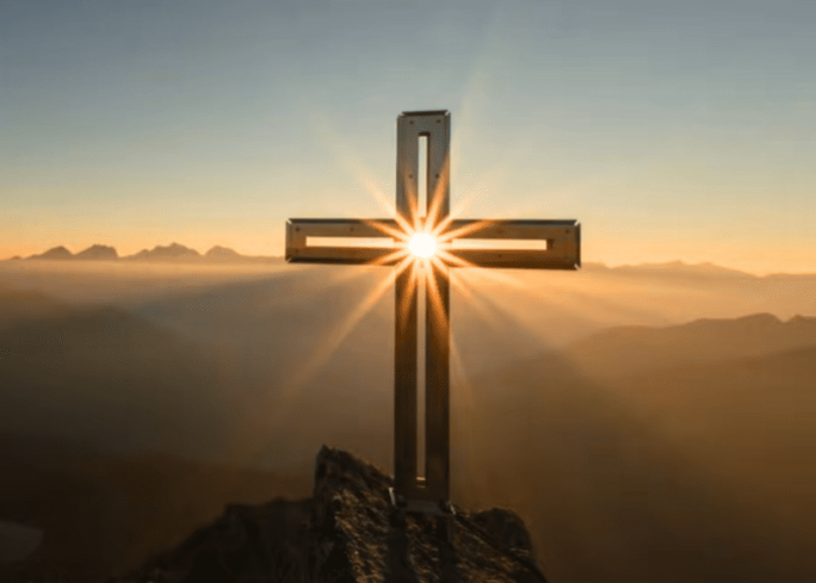 Scientist Resurrect Ancient ‘Lost Tree’ Mentioned in the Bible: Report