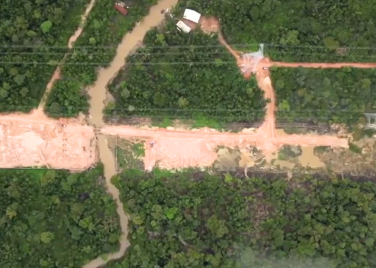 Thousands of Acres of Rainforest Decimated to Build Road for UN Climate Change Summit
