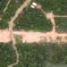 Thousands of Acres of Rainforest Decimated to Build Road for UN Climate Change Summit
